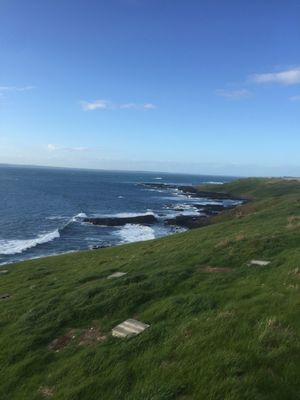공중에서 본 필립 섬의 해안선과 내륙 풍경