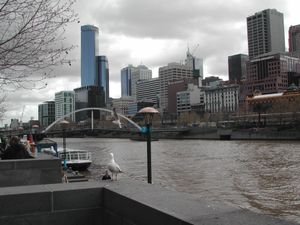 야라 강의 독특한 색깔은 쉽게 알아볼 수 있다.