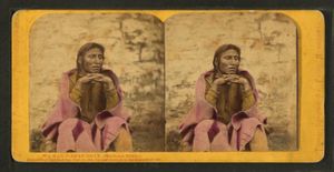 Wa-kan-o-zhan-zhan (메디신 보틀)