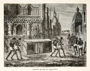 1881년경 캘커타 거리의 가마