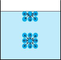 표면 분자와 내부 분자