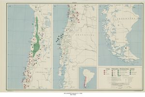 칠레 광산, 녹색 부분이 질산나트륨 지역