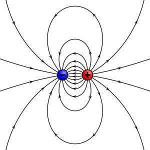 전하는 양 또는 음의 값을 가질 수 있다.