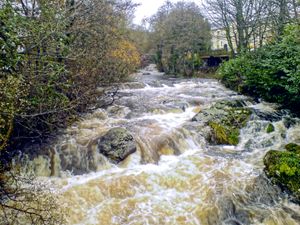 아이비브리지(Ivybridge)의 에르메 강(River Erme)
