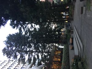 트랜스아메리카 피라미드 부지 내 레드우드 공원의 황혼