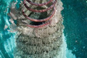 발덴 환원기의 그림. 구리선에서 치환된 은은 질산은 용액에 담그면 금속 은 결정이 구리선에 침전된다.