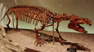 국립과학박물관에 전시된 골격