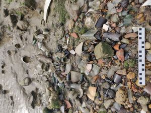 기술 화석의 예시.