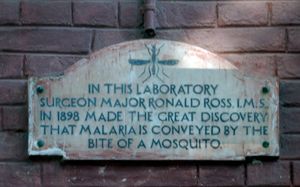 PG 병원의 로널드 로스 기념 명판