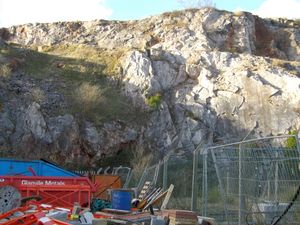 데번 주 토키에 있는 루마톤 채석장의 암석은 데본기의 정의에 초기 역할을 했다