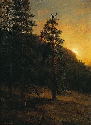 알버트 비어슈타트(Albert Bierstadt), 캘리포니아 세쿼이아(California Redwoods), 1872년, 캔버스에 부착된 종이에 유채