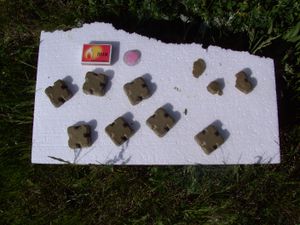 경구 백신용 미끼