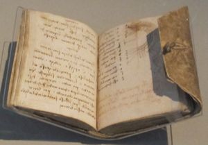 레오나르도 다 빈치, 포스터 3번 코드, 1490~1505년 (64번 방)