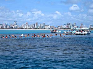 피카오징뇨(Picãozinho)