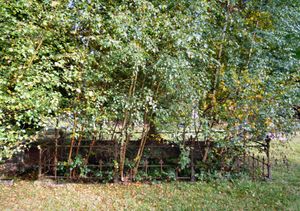 코드링턴은 브룩우드 묘지의 가족 묘지에 묻혔다