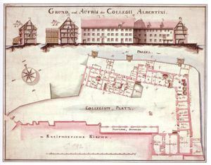 알베르티눔과 대성당 북쪽 절반의 개략도