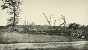 연합군 전선 왼쪽 끝에 있는 급조된 남부군 참호