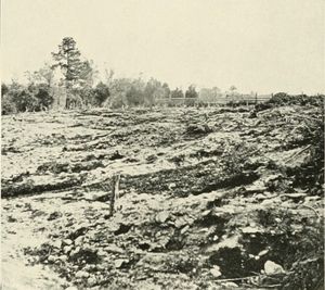 전투 후 촬영된 참호