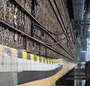 레일의 곡선에 맞춰 승강장이 파여 있다. 미시마역에서.