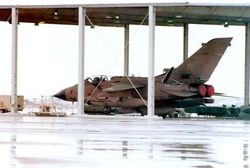 걸프 전쟁 당시 사우디아라비아 공군기