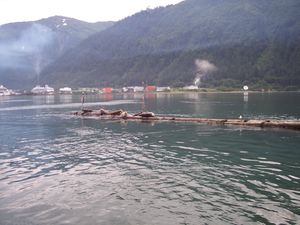 알래스카 주노 상공의 크루즈선에서 나오는 연기. 전경에는 더글러스 방파제에 떠 있는 물개가 있다.