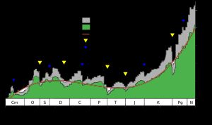현생누대에서 생물 다양성(과(科) 수준)의 변화.