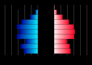 연령별 성비 피라미드