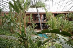 레지덴시아의 정원