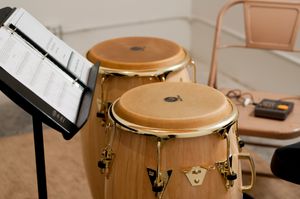 새로운 LP 클래식 콩가