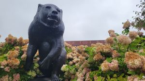 메모리얼 체육관(메인 대학교) 앞에 있는 마스코트 바나나스 T. 베어