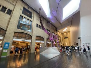 하이아신스 글로리아 첸 크리스탈 코트(Hyacinth Gloria Chen Crystal Court) 내부의 후탈롱코사우루스(Futalognkosaurus) 복제 골격