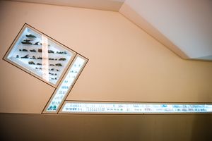 마이클 리 친 크리스탈(Michael Lee-Chin Crystal)에 내장된 쇼케이스에 전시된 물품