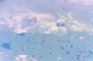 보르 근처의 백나일