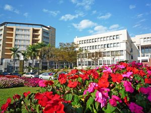 국립치아이대학교