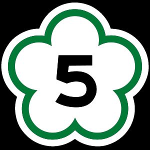 국도 5호선 (장웨이수이 고속도로)