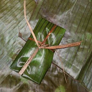 자메이카의 타이어리프(tie-a-leaf) 또는 블루 드로어스(blue drawers, duckunoo)를 바나나 잎에 싼 모습.