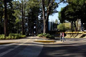 로드리고 파시오 시우다드 대학교