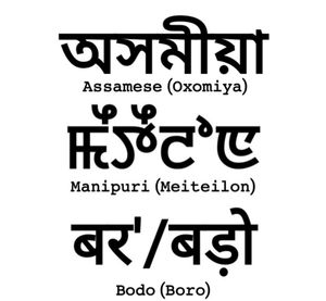 인도 헌법이 인정하는 인도 공화국의 공용어 중 북동 인도에 고유한 언어들로, 각각의 공용 문자로 쓰여 있다.