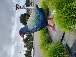 테 아나우 중심부에 위치한 타카헤 동상 (2023)