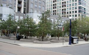 요크빌 파크 내의 나무들.