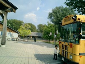 섬 공립/자연과학학교