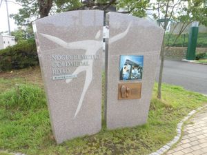 노구치 미즈키 금메달 로드