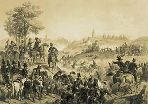 카를로 알베르토(망원경을 들고)와 파스트렌고 전투(1848년)에서의 피에몬테 지휘관들