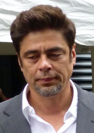 2014년 토론토 국제 영화제에서의 델 토로