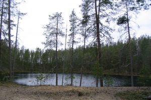 핀란드 수오무살미 시 호사의 켓틀 폰드