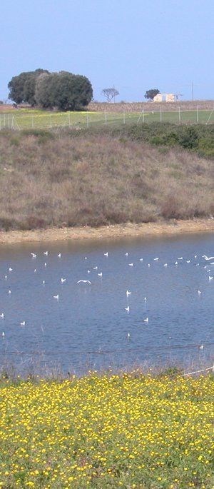 브린디시에서는 여전히 농업이 중요하다