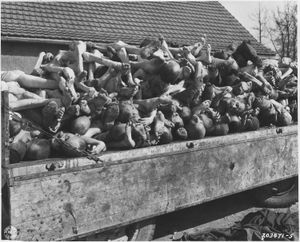 해방 후 부헨발트 수용소에서 발견된 시신들.