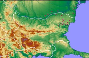 8세기~9세기 아드리아 해 하류 지역 불가르인 무덤 지도