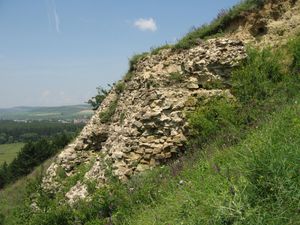 셰프틸리치 언덕(Șeptilici Hill)에 있는 셰키아 요새(Șcheia Fortress)의 폐허된 성벽