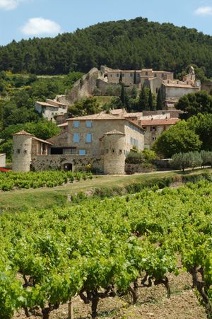 바이송라로맹 근처 포도원